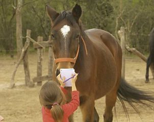 Julia nena con caballos